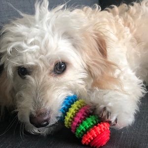 Meet your Posher, Nate